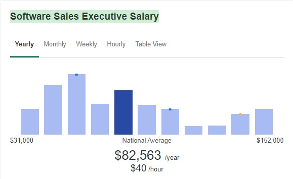 What Are Software Sales Jobs